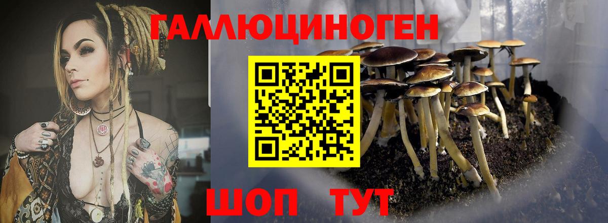 Псилоцибиновые грибы мицелий Красноармейск